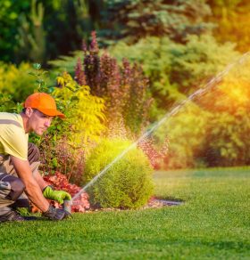 Home & Garden Solutions LLC Gardening & Landscaping in Miramar & Pembroke Pines Area.